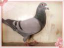 �ҵİ���