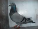 �ҵİ���