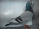 �ҵİ���