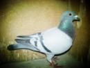 �ҵİ���