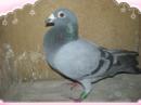 �ҵİ���