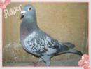 �ҵİ���