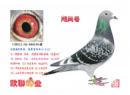 �������硱X����Ů�ɡ�ֱŮ