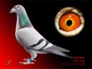 �ҵ��ָ�