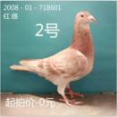 ��������κ��������