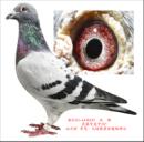 ������ֱ��8685