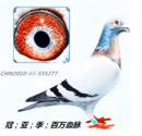 ̫��԰����22��������ھ���ɽ���廷ʹ�裩�뱱����ѹھ�����