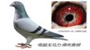 �����ؼ��ָ��ֳ�һ��ھ�
