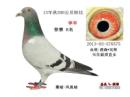 ����ֱŮ�رȼ���