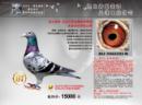 ���и���