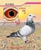 �ҵ��ָ�