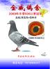 �ھ������ٺ����У�