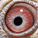 2014���������Ǿ�