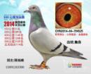 ������2014�����Ÿ�