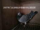2007����ͷ���رȻ�����500����ھ�