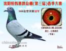 ����������빫������촺������500����ھ�
