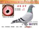 ������Ϫ�幫��2014���׽������������