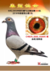��Ĭ��