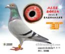 ���ظ����ھ�