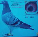 11��������800�����ܹھ�