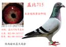 �Ǳ�715
