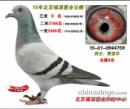 ��Դޥҵ���������8��