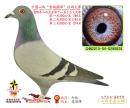���Ǿ���274��