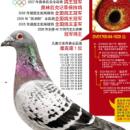 �����ָ�