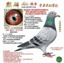 ɣ��ʿ���������ܣ�