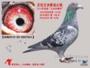 �ɼ���