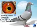 �߹�8��֮Ů