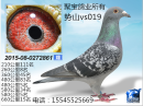 ��ɽvs019