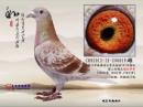12�껴���رȻ����ظ���