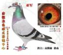 ������˹