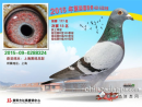 2015����ݺ�㹫��񽱸�