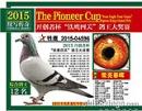 15�꿪������Ӣ�ۺ�13��