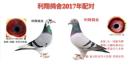2017�����