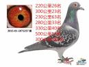 2015-01-1071257