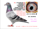 �Ǳ� �ھ���Ѫ