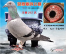 小样