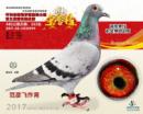 �Ǿ�����Ů233��
