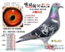 18�����鹫�ﴺ��