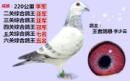 �Ĺظ����ھ�