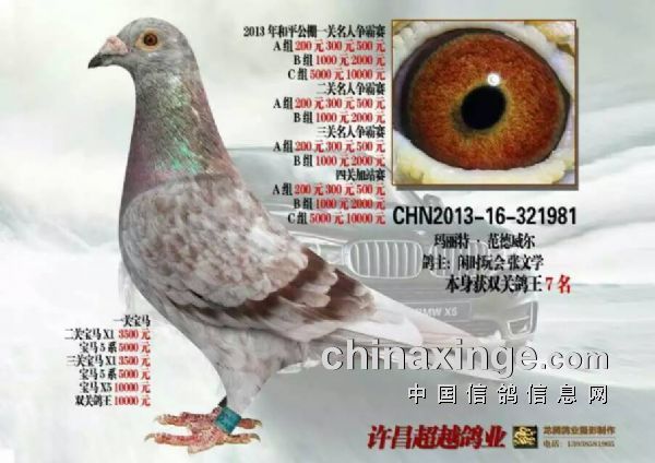 许昌超越鸽舍