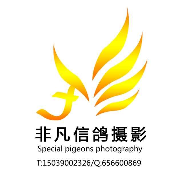20161206203534.jpg