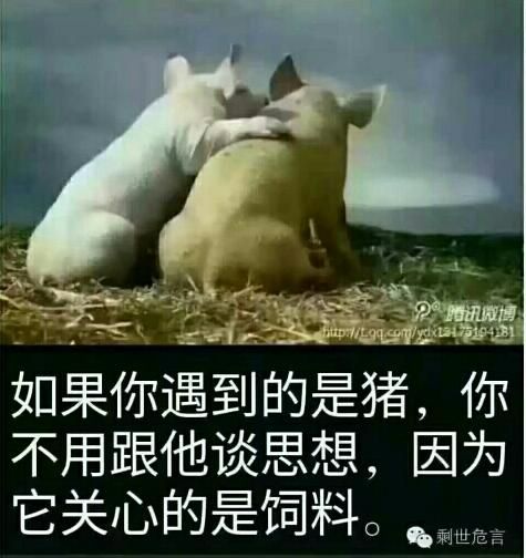 ´ڞg[DƬ