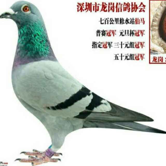 20170825210127.jpg
