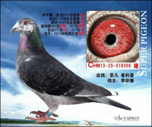 ����Ŵ�