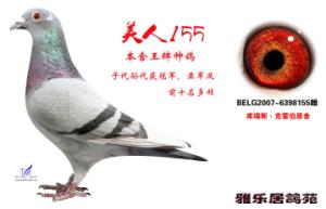 ����Ŵ�