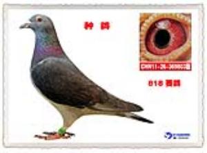����Ŵ�